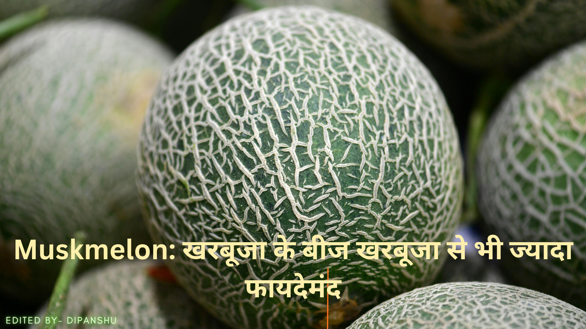 Muskmelon: खरबूजा के बीज खरबूजा से भी ज्यादा फायदेमंद